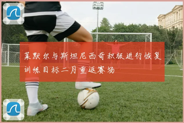 莱默尔与斯坦尼西奇积极进行恢复训练目标二月重返赛场